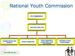 Nyc Organizational Chart National Youth Commission