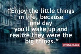 Enjoy The Little Things In Life For One Day You Will Realize Enjoy The Little Things In Life Because One Day You Ll Wake Up And Realize They Were The Big Things Life Quotes Thinking Quotes Lessons Learned In Life Quotes