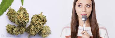 Why Does Weed Make You Hungry A Scientific Look