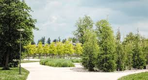 Der gartenservice augsburg von inhaber fabian held bietet dienstleistungen rund um garten und grünanlagen für gewerbe und privat an. Westpark Augsburg Gewinnt Landschaftsarchitektur Preis 2021 Garten Landschaft