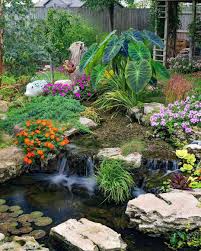 Image result for garden pond ideas