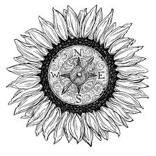 Torrey Pierce (torreypierce)