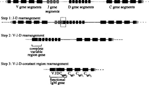 Pharyngitis is inflammation of the back of the throat, known as the pharynx. Epidemiological Concepts Springerlink