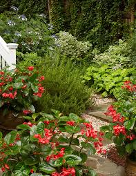 Their beautiful, wide varieties of blooms are stunning in any garden. Design Ideas For A Shaded Backyard Costa Farms