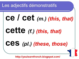 French Lesson 93 Demonstrative Adjectives This That Adjectifs Demonstratifs Ce Cet Cette Ces Basic French Words Learn French French Flashcards