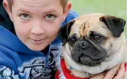 A new year for a holiday