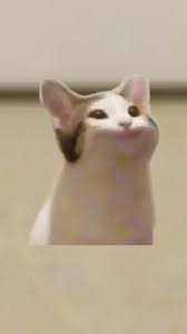 Pps = pops per second. Popcat Meme For Android Apk Download