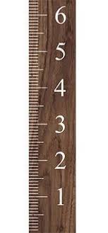 Kids Wood Growth Chart Wayfair