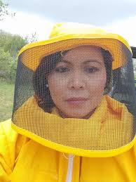 Bee Hunter/Beekeeper