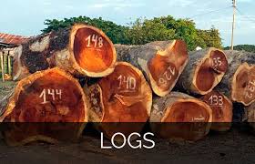 During his free time, dr. Saman Woods Ferraro Wood Specialist