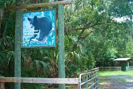 Maybe you would like to learn more about one of these? Black Bear Wilderness Area Sanford Florida Hikes