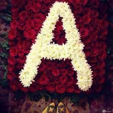 Maybe you would like to learn more about one of these? ÙˆØ±ÙˆØ¯ Ù…ÙƒØªÙˆØ¨ Ø¹Ù„ÙŠÙ‡Ø§ Ø­Ø±ÙˆÙ