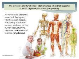 Maybe you would like to learn more about one of these? Science 1 10 Ncea L1 Life Processes 1 10 Life Processes Ppt Download
