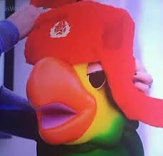 Get all the lyrics to songs by louro josé e a turma da aninha and join the genius community of music scholars to learn the meaning behind the lyrics. Louro Jose Comunista Beitrage Facebook