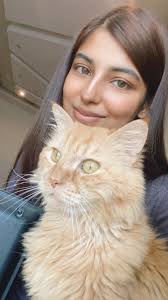 Book pet boarding service in Pune with Dr Tahani mistry