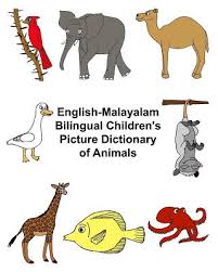 Kamus melayu english ini boleh digunakan tanpa sambungan internet. English Malay Bilingual Children S Picture Dictionary Book Of Colors Buku Kamus Bergambar Kanak Kanak Dwibahasa Tentang Warna