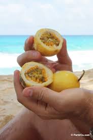 Les Fruits Exotiques Fruits Exotiques Legume Exotique Fruits