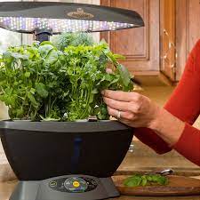 We did not find results for: Grow An Herb Garden