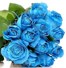 Bunga mawar biru asli yang ada atau dijual dipasaran bukan berbentuk bibit melainkan bunga mawar potong yang berwarna putih yang dicelupkan kedalam cairan berwarna biru yang disebut dengan. Bunga Mawar Biru Antrs