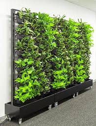 Mobile Green Wall Garden Wall Vertical Garden Design Vertical Garden Wall