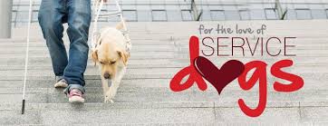 Service Dogs Americans With Disabilities Act Hulphonden Dieren