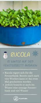 Pflanzen Fur Die Fensterbank 12 Krauter Gemuse Plantura Pflanzen Gemuse Pflanzen Fensterbrett