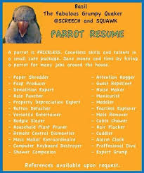 Parrot Resume Parrot Caique Parrot Parrot Toys