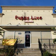 We did not find results for: Puppy Love Grooming 13730 Beamer Rd 230 Houston Tx 77089 Usa
