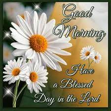 My dear, may you live long to enjoy more beautiful mornings like this. 16 Good Morning Have A Blessed Day Greetings