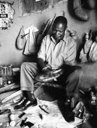 Image result for Hippocratea longipetiolata