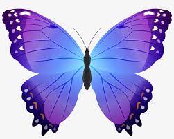 Save 15% on istock using the promo code. Butterfly Purple Transparent Png Clip Art Blue And Purple Butterfly Clip Art Transparent Png 5000x3726 Free Download On Nicepng