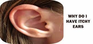 Itchy Ears Solutions Itchy Ears Itchy Ears Remedies Itchy