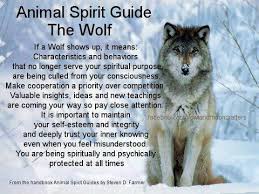 Wolf They Have Been Appearing To Me A Lot Lately In Dreams Life Geistfuhrer Geisttier Hundespruche