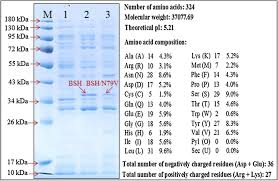 Payments will be given on the following 12. Asparagine 79 Is An Important Amino Acid For Catalytic Activity And Substrate Specificity Of Bile Salt Hydrolase Bsh Springerlink