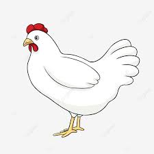 Berwarna Hen Clip Art Ayam Clipart Induk Ayam Ayam Png Transparan Gambar Clipart Dan File Psd Untuk Unduh Gratis Ilustrasi Vektor Ilustrasi Hewan Seni Jalanan