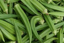 Ağaç türü ve fidan materyali nitelikleri. Bamya Hangi Ayda Ekilir Tohum Dogal Sebzeler