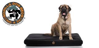 We did not find results for: Durable Chew Proof Dog Beds Chew Proof Beds For Dogs