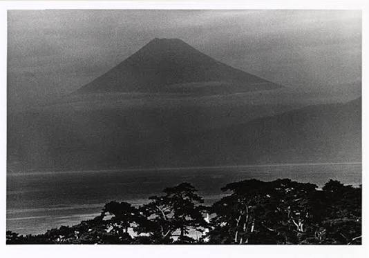 Work by Daido Moriyama
