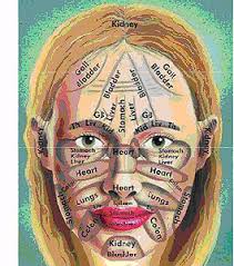 Face Reading For Healing Physiognomy Healthy Me Finances
