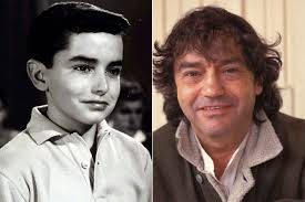 Perfil de Joselito chanteur comedien fan france