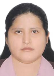 Antecedentes de Otorongos Elecciones 2022