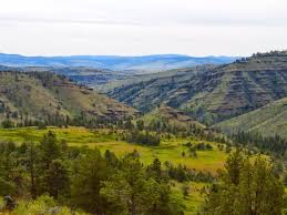 3 reviews of ochoco national forest as this is my 200th review, i wanted to write about some place that is pretty radical. Ochoco National Forest Archives Crag Law Center