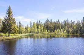 Bovendien beleef je de natuur in zweden het best te voet. Wanneer Kies Je Voor Noorwegen Zweden Of Finland