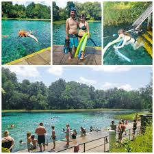 So prepare to be on the river for four hours. 10 Activities To Do At Rainbow Springs State Park