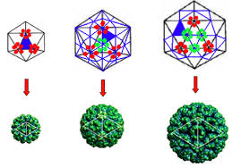 Surprises in icosahedral symmetry