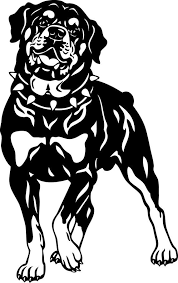 Download Rottweiler Silhouette Dog In Svg Eps Dxf Jpg Files Instant Download In 2021 Art Dog Silhouette Rottweiler Tattoo