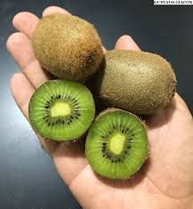 Kiwi Femea Monty Actinidia Chinensis Foto Gustavo Giacon Kiwi About Me Blog Fruit