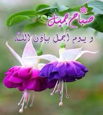 صباحكم اشراقة شمس تتسلل إلى نافذتكم فـ تسطع الإشراقة ف ي زواياي قلوبكم ويغدو النور م ن جمالكم أشهى good night messages morning greeting night messages