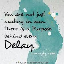Quote About Delayed Gratification Wait On God Not Waiting In Vain Adoption Quotes Mandy Hale Quotes Waiting Quotes