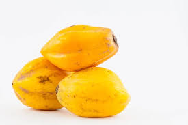 Image result for Vasconcellea pubescens